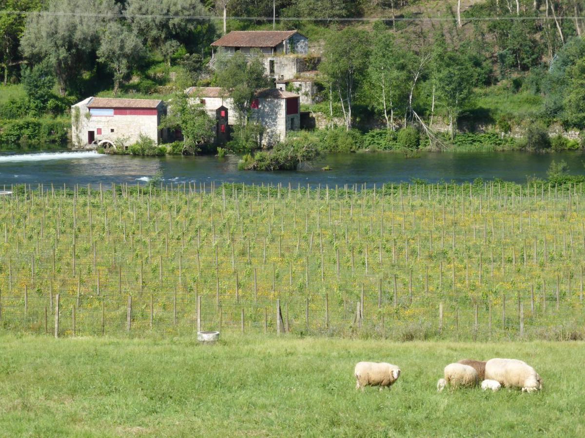 Quinta Do Burgo - Nature Hotel Amares Exterior photo