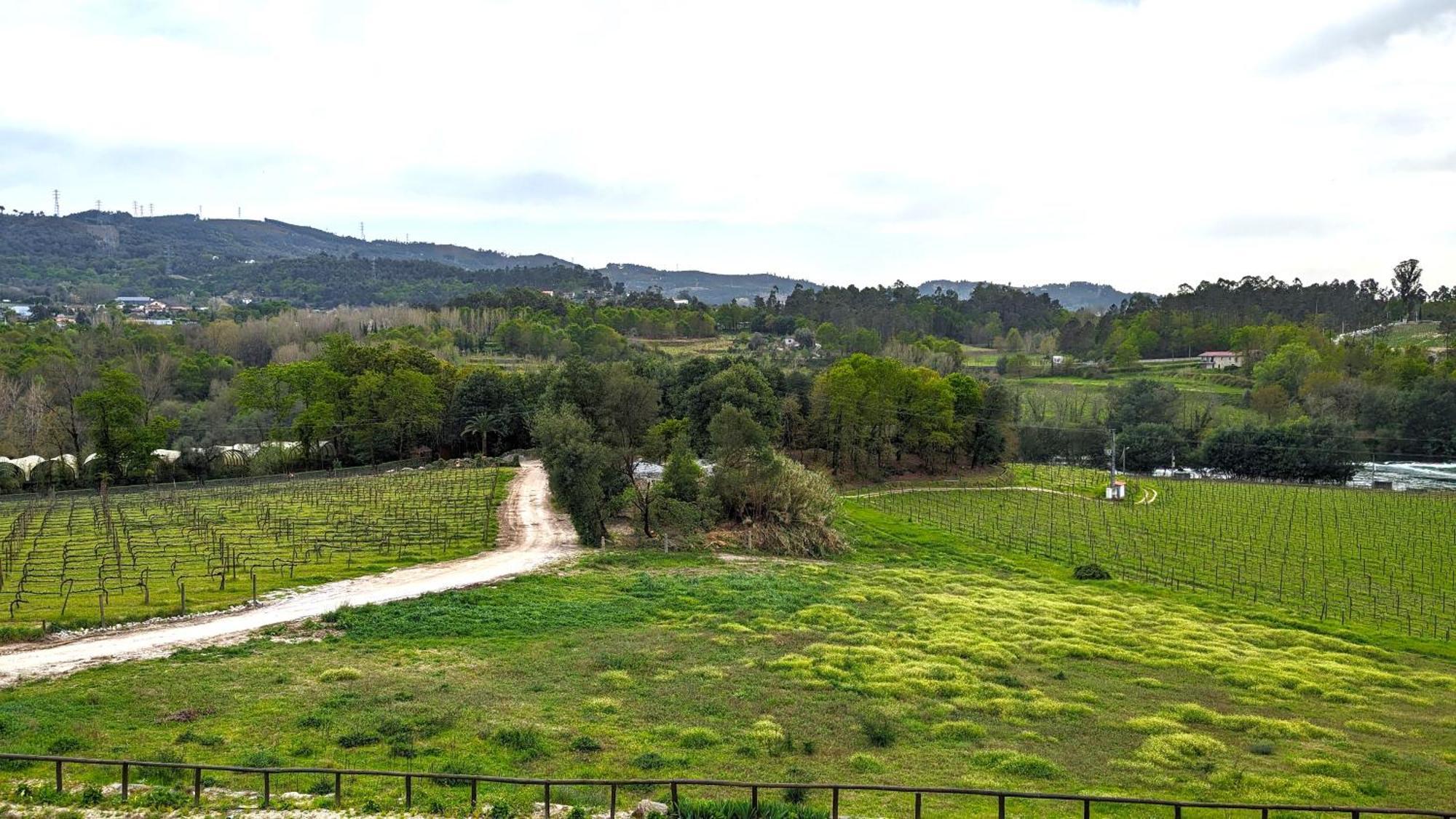 Quinta Do Burgo - Nature Hotel Amares Exterior photo