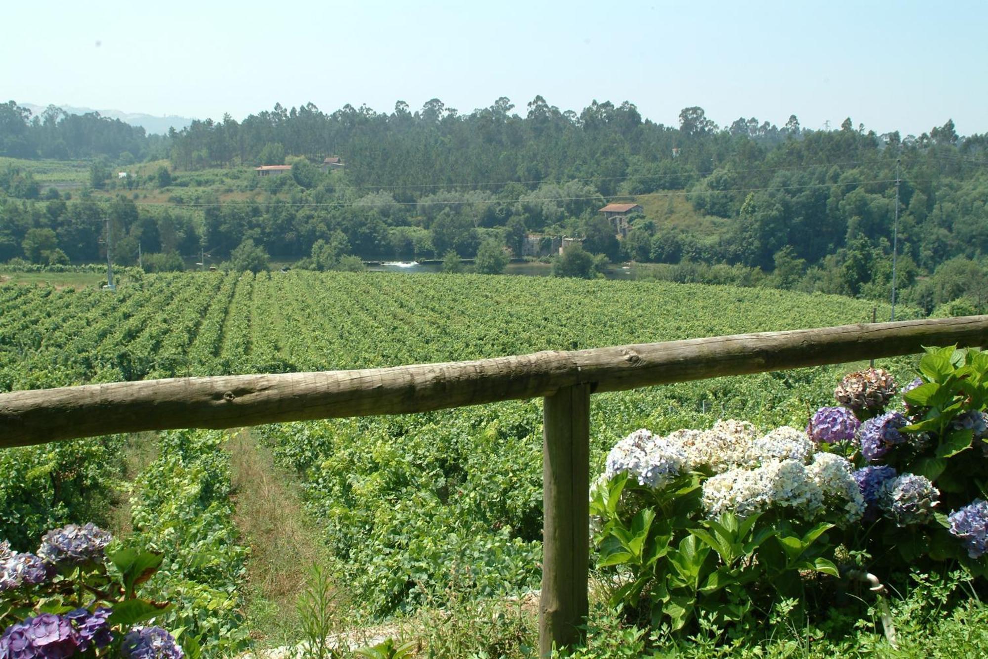 Quinta Do Burgo - Nature Hotel Amares Exterior photo